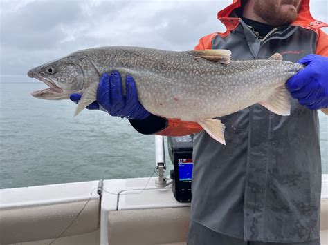 Lake Trout Research Underway On Lake Ontario