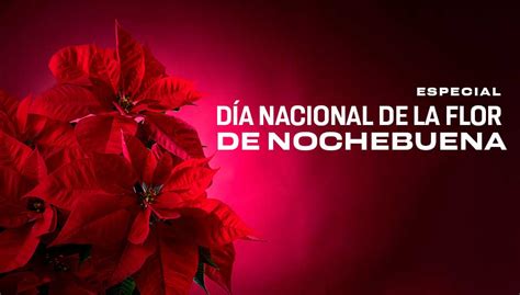 Día Nacional de la Nochebuena UNAM Global