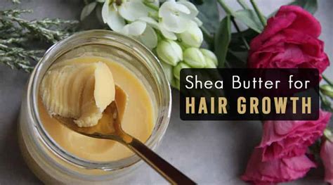 The Wonders Of Shea Butter For Hair Growth HealthtoStyle