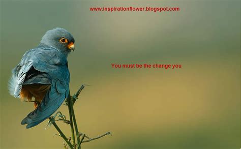 Inspirational Quotes Bird. QuotesGram