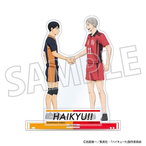 Haikyu Acrylic Stand Kageyama Tobio Haiba Lev 18x25cm Kyou