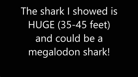 Giant Megalodon Caught On Camera 2015 Real Proof Evidence Youtube