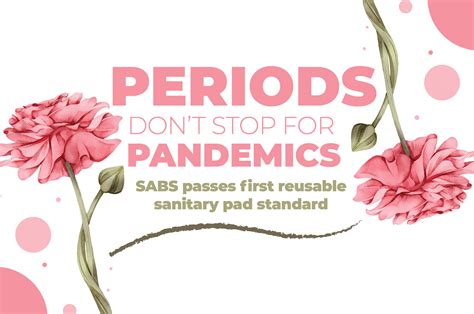 Sabs Approves Standard For Reusable Sanitary Towels In A First For