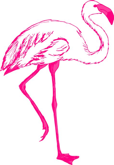 Download High Quality flamingo clip art outline Transparent PNG Images ...