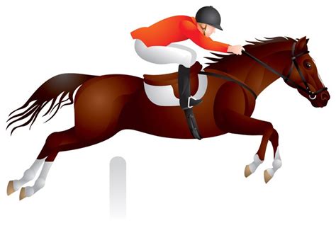 Horse Jumping Vector at GetDrawings | Free download