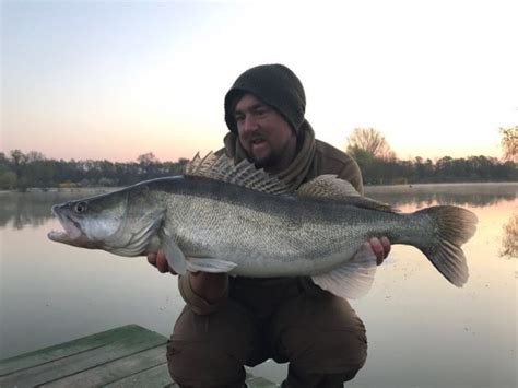 World Record Carp Lakes Other Monster Fish Anglers Mail