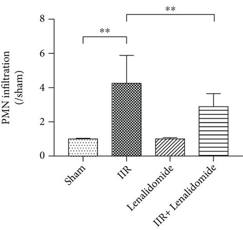 Tnf Inhibitor Inhibits Polymorphonuclear Neutrophil Pmn