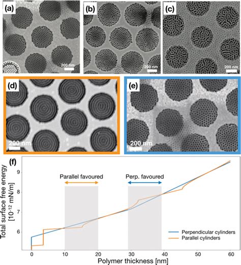 Ac Sem Images Of Nanoholepatterned Thin Films Of Au Pt And Tio