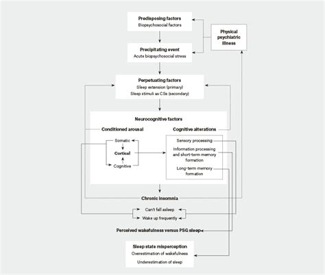 RACGP - Insomnia theory and assessment