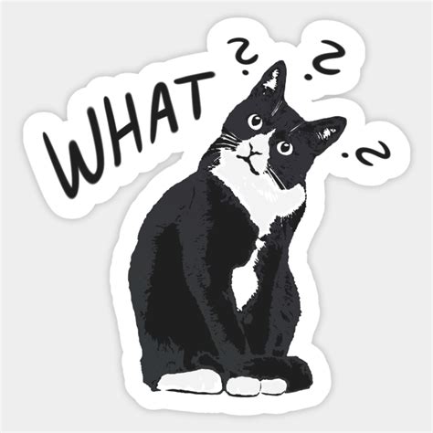 Confused Cat - Cat - Sticker | TeePublic