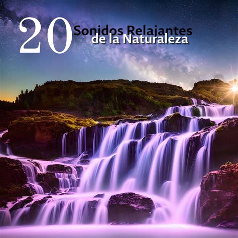 20 Sonidos Relajantes De La Naturaleza Aguas Calmantes Y Ruidos De