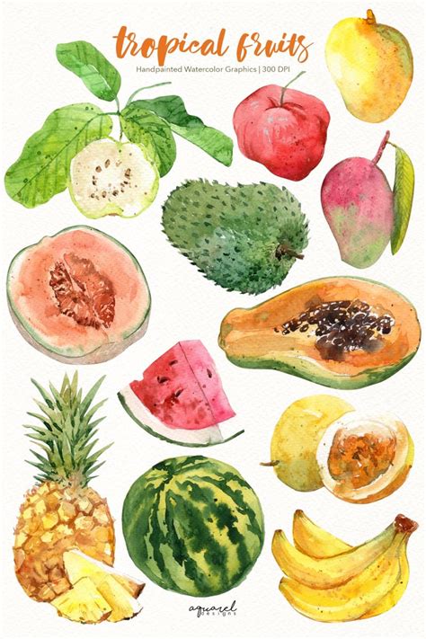 Fruit Watercolor Collection Artofit