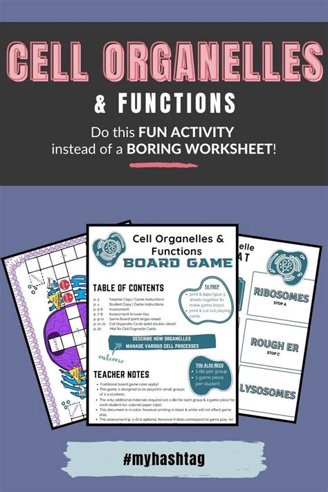 Cell Organelles And Functions Worksheet For The Cell Organulee Activity