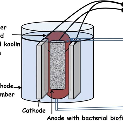 Schematic diagram of the reactor | Download Scientific Diagram