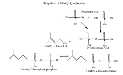 Natural And Synthetic Rubbers Chemistry Optional Notes For Upsc Pdf