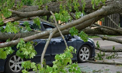 Top 5 Tips For Filing A Successful Storm Damage Insurance Claim