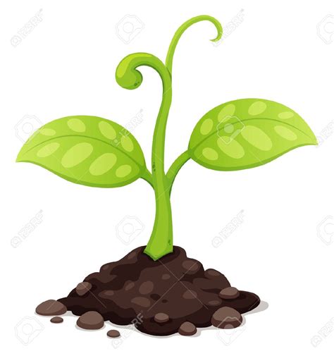 Plants Shoot Clipart 20 Free Cliparts Download Images On Clipground 2024