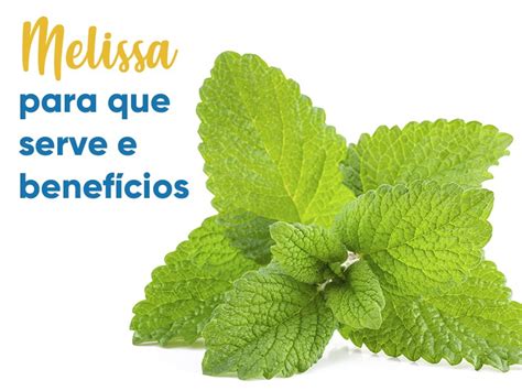 Para Que Serve Serve - 8