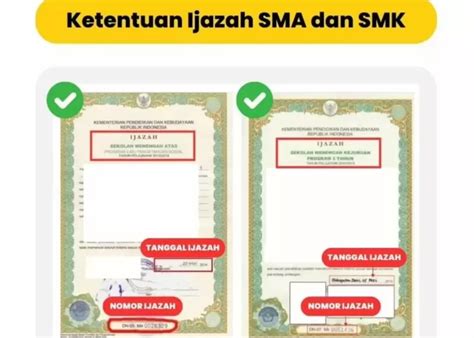 Hati Hati Banyak Pelamar Salah Dan Bikin Gagal Lolos Cpns Ini