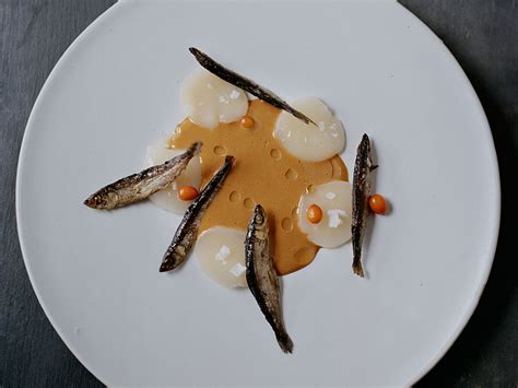 Noma Seafood Season – René Redzepi Reopens The World's, 56% OFF