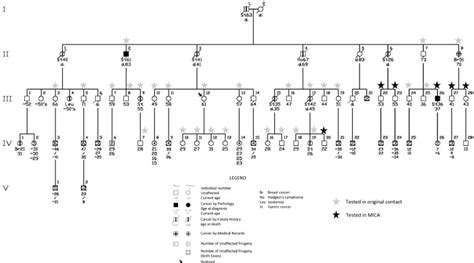 The Benefits Of A Model Of Interval Comprehensive Assessments MICA In