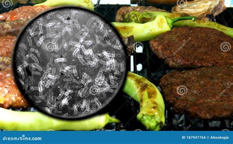 Searching For Bacteria On BBQ Meat Stock Photo Image Of Cell Microbe