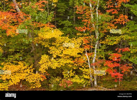 Sugar River New Hampshire Hi Res Stock Photography And Images Alamy