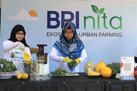 Kembangkan Urban Farming Di Lahan Sempit BRI Peduli Inspirasi Bertani