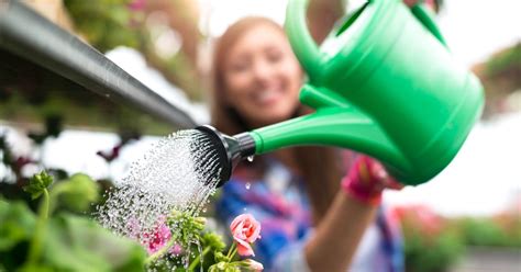 Reusar El Agua De La Lavadora Para Regar Las Plantas Bueno O Malo