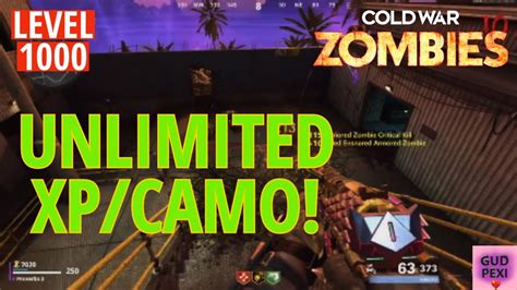 Unlimited Xp Camo Glitches No Phd Required Cold War Zombies