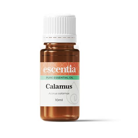 Calamus Essential Oil 10ml Escentia Products