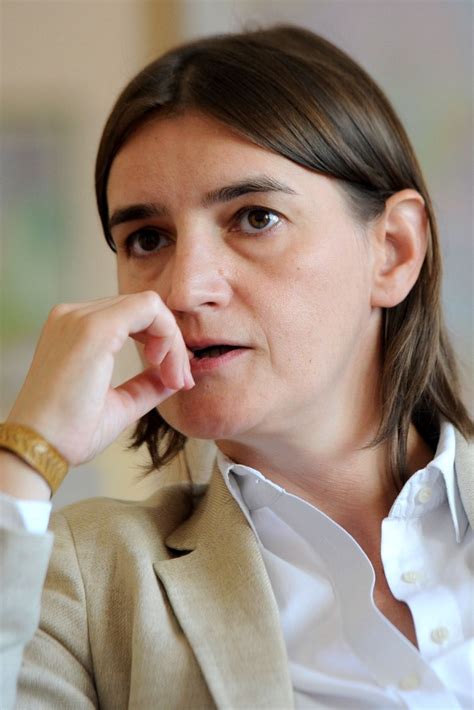 Conservative Serbia to Get First Openly Gay Prime Minister - NBC News