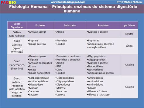 Faqbio Apoio Ao Estudo De Biologia Ficha Resumo Faqbio