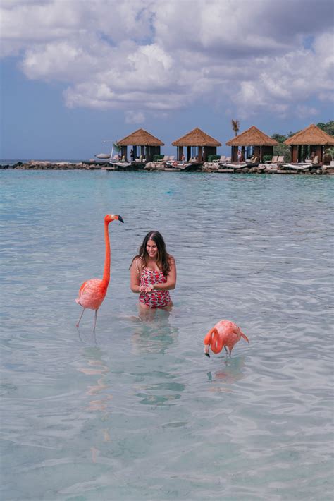 WHAT YOU NEED TO KNOW ABOUT VISITING FLAMINGO BEACH IN ARUBA - My ...