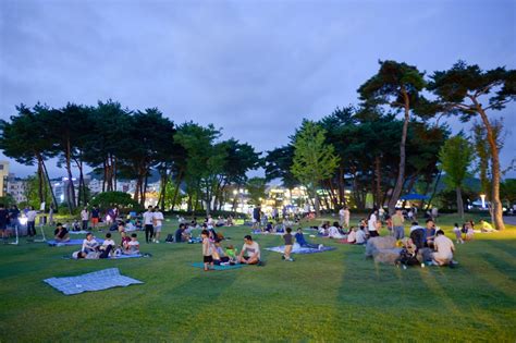 순천 조례호수공원 반려견 산책 코스로 인기 남도방송