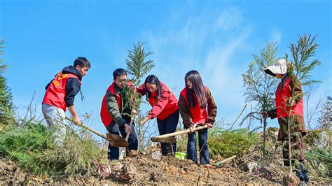 El Pueblo Chino Celebra El D A Nacional De Plantaci N De Rboles En