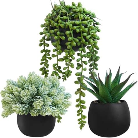 Amazon Winlyn Pcs Small Faux Potted Plants Artificial Aloe Hops