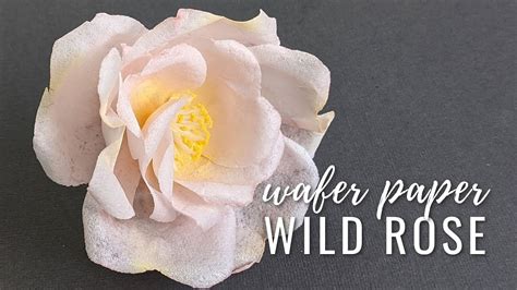 How To Make Wafer Paper Wild Rose Youtube