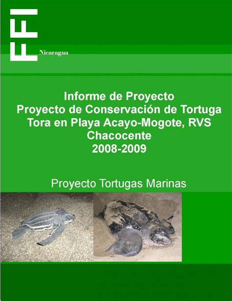 Pdf Proyecto De Conservaci N Tortuga Tora D Coriacea En El Pdf