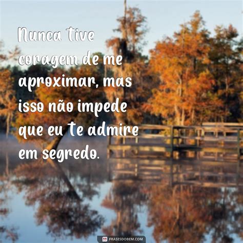 Descubra As Melhores Frases De Admirador Secreto No Tumblr Frases Do Bem