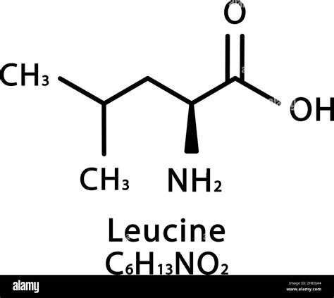 Estructura molecular de la leucina Fórmula química esquelética leucina