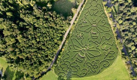 Best Corn Mazes Near NYC: Mazes for Kids & Haunted Mazes