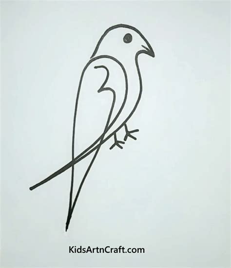 Easy Bird Drawing