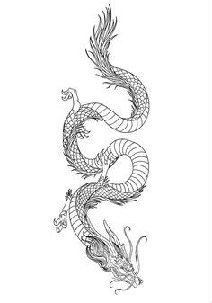 10 Dragon tattoo ideas in 2024 | dragon tattoo, dragon tattoo designs ...