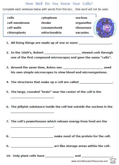 6th Grade Science Cells Worksheet