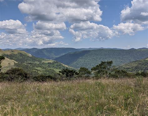Ana Porto: Brazil isn’t just trees—working in grasslands in a country