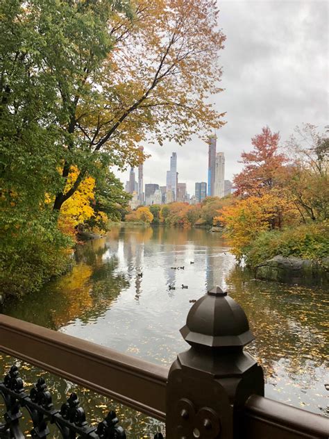 Wat te doen in New York? (tips & hotspots) | TUI Smile