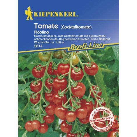 Kiepenkerl Tomate Picolino Solanum Lycopersicum Inhalt Korn Gem Sesamen