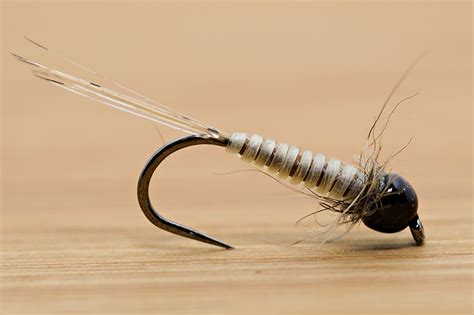 tie  micro nymph  troutline catgut biothread fly tying