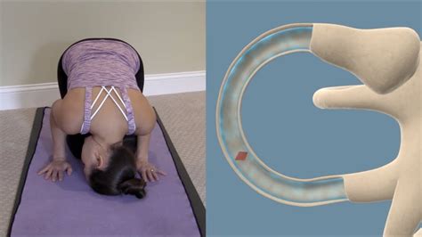 Half Somersault Maneuver To Treat BPPV Vertigo YouTube